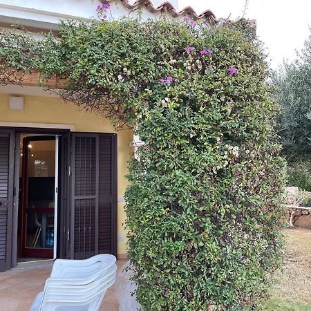 Tavolara Paradise Home Porto San Paolo  Eksteriør billede