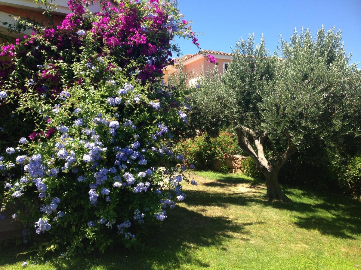 Tavolara Paradise Home Porto San Paolo  Eksteriør billede