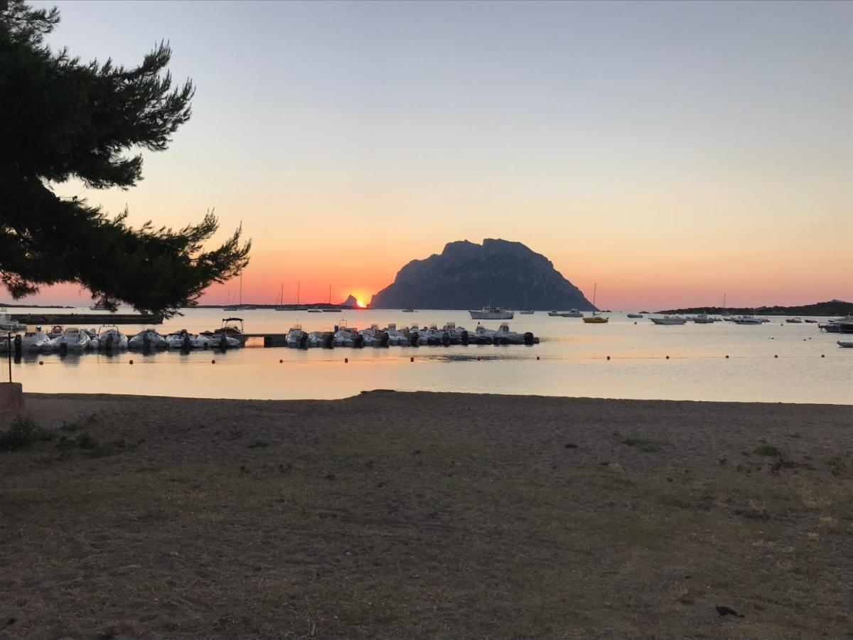 Tavolara Paradise Home Porto San Paolo  Eksteriør billede