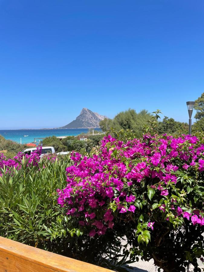 Tavolara Paradise Home Porto San Paolo  Eksteriør billede