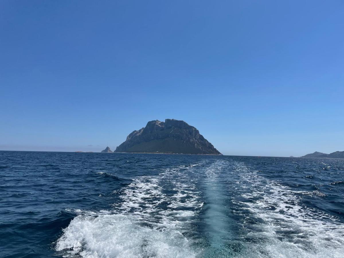 Tavolara Paradise Home Porto San Paolo  Eksteriør billede