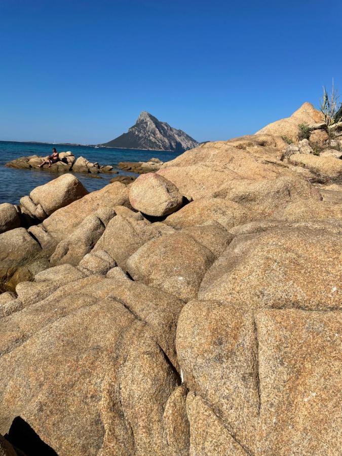 Tavolara Paradise Home Porto San Paolo  Eksteriør billede