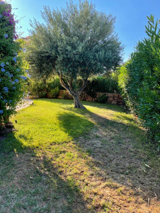 Tavolara Paradise Home Porto San Paolo  Eksteriør billede