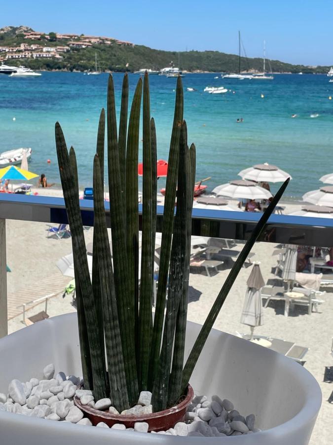 Tavolara Paradise Home Porto San Paolo  Eksteriør billede