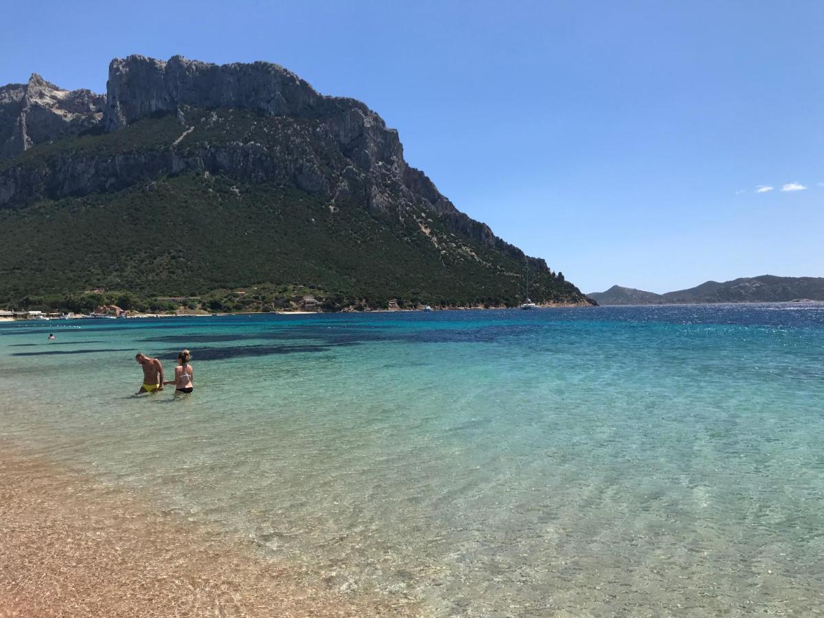 Tavolara Paradise Home Porto San Paolo  Eksteriør billede