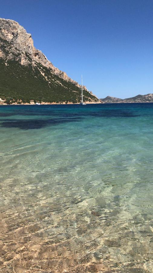 Tavolara Paradise Home Porto San Paolo  Eksteriør billede