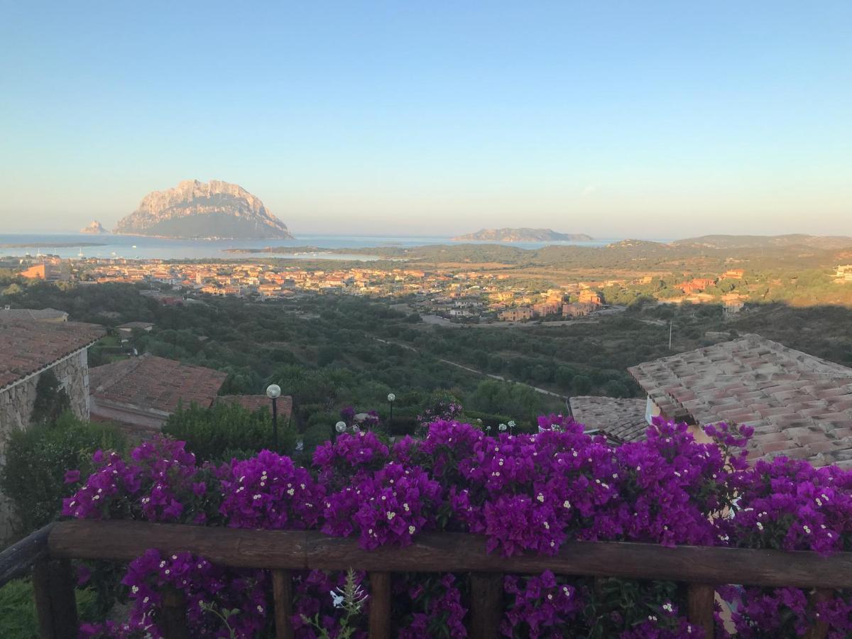 Tavolara Paradise Home Porto San Paolo  Eksteriør billede