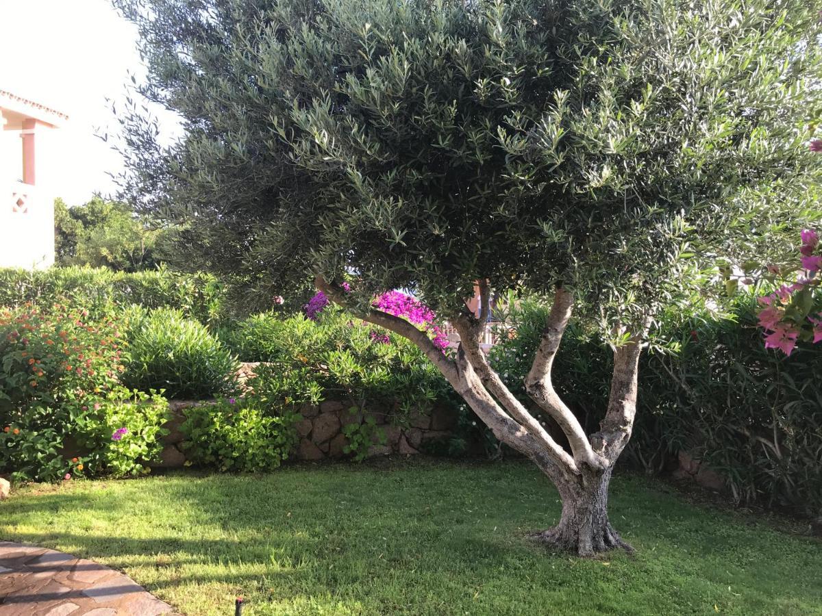 Tavolara Paradise Home Porto San Paolo  Eksteriør billede
